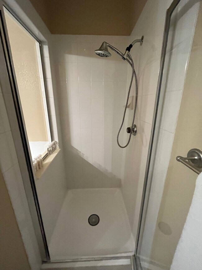 Main Bathroom Shower Area - 10233 King Henry Ave