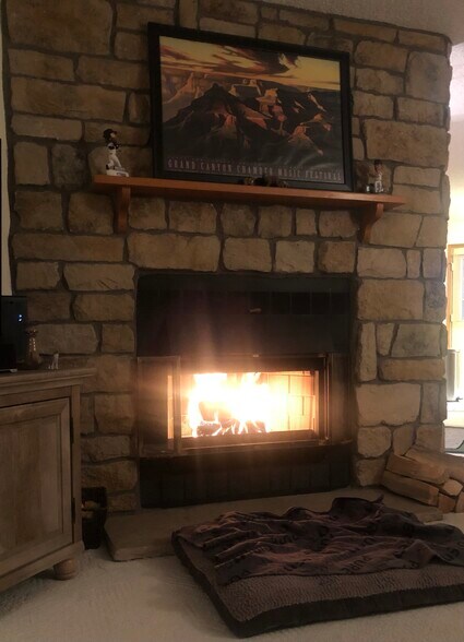 Fireplace in Living room - 8185 S Fillmore Cir