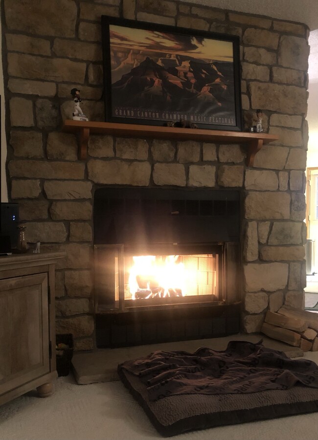 Fireplace in Living room - 8185 S Fillmore Cir