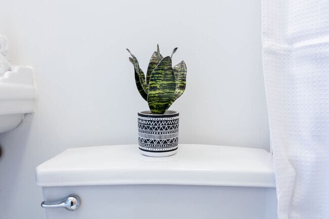 Building Photo - 1435 2nd Ave