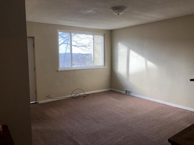 Primary Photo - Spacious 2BR Apartment In Mt Oliver Area!