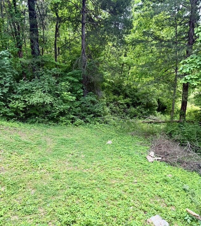 Building Photo - 7035 Willowick Dr