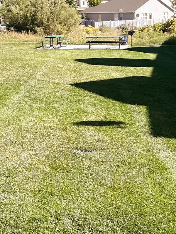 Building Photo - 3569 E Rock Creek Rd