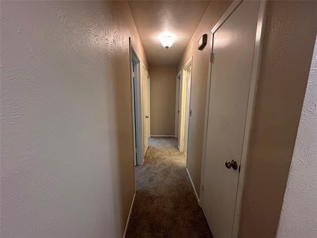 Building Photo - 1502 Aransas Dr
