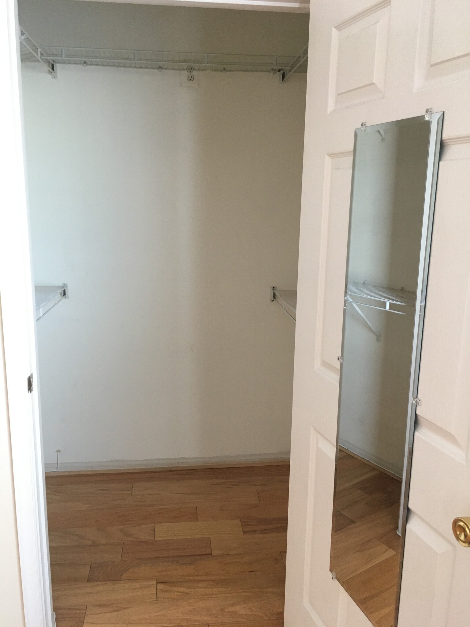 second bedroom walk-in closet - 1591 Spring Gate Dr