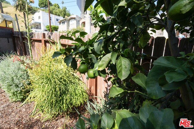 Building Photo - 2847 Pyrites St