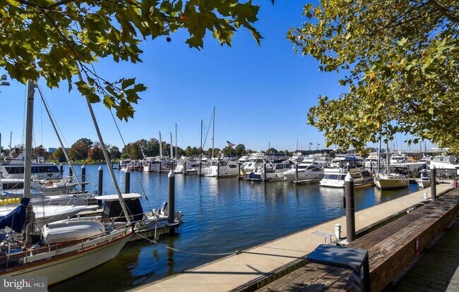 Building Photo - 1435 4th St SW