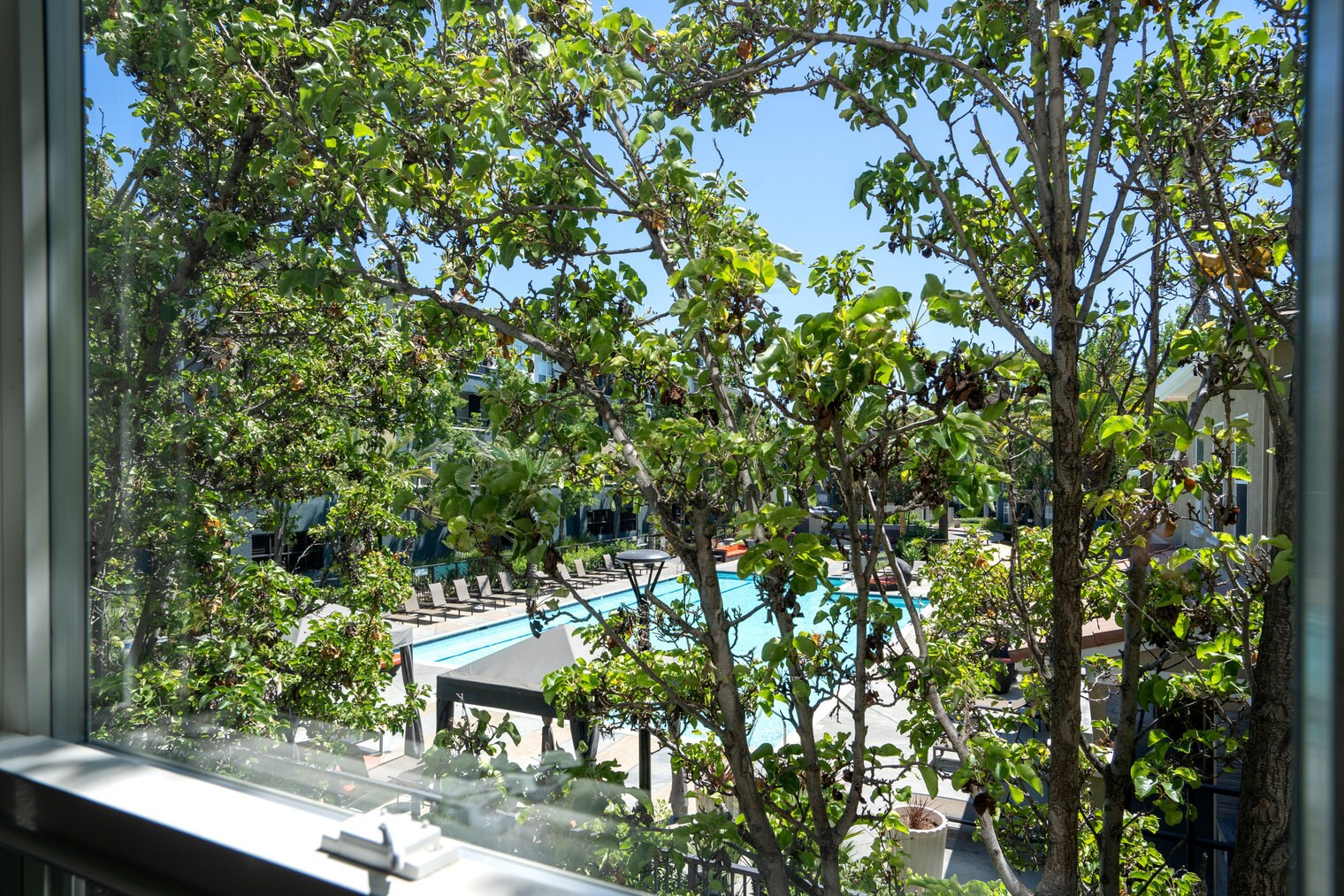 Building Photo - 1265 Lakeside Dr