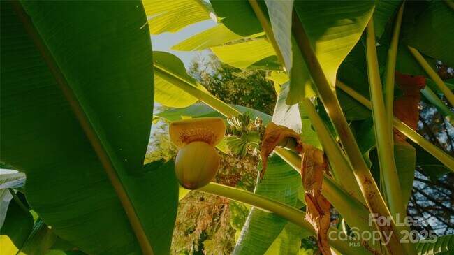 Building Photo - 12325 Summer Breeze Ct