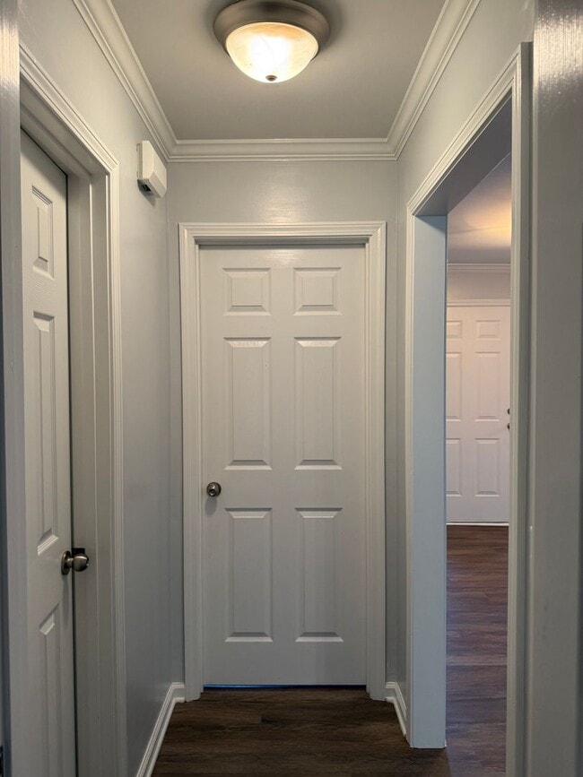 Building Photo - 471 Co Rd 737