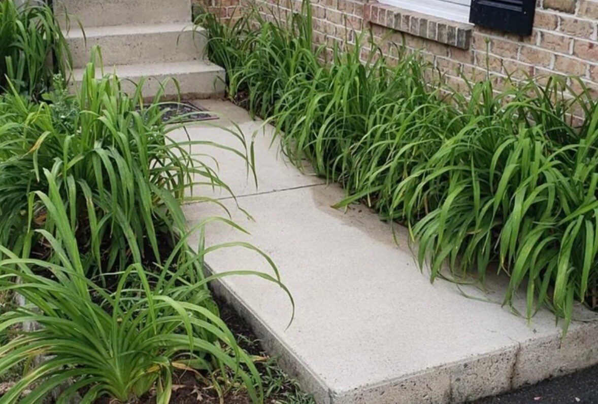 Front entrance - 36 Kendes Rd