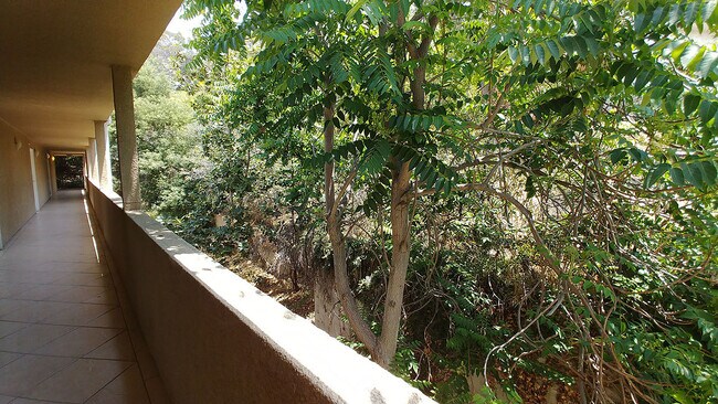 Floorplan - Carmel Heights Apts