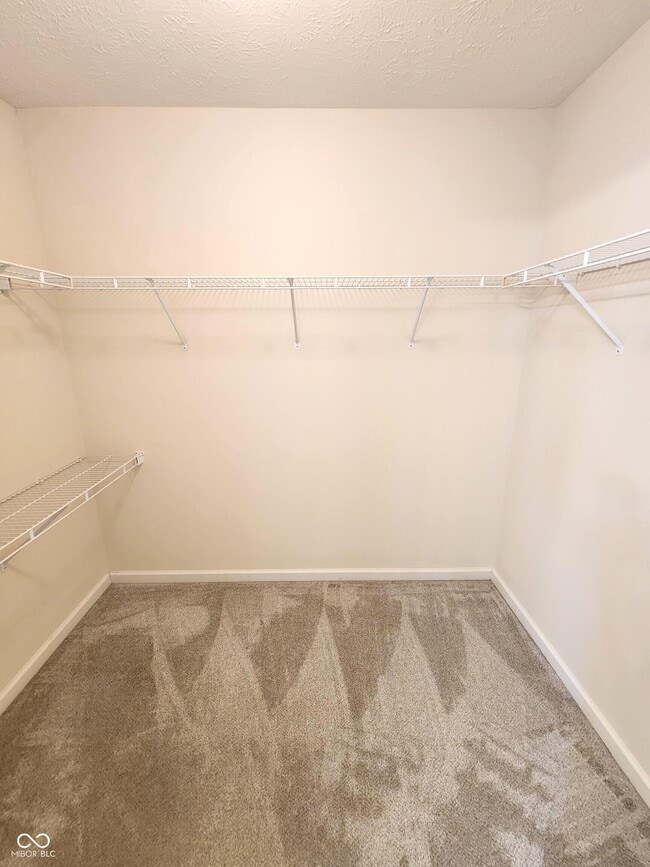 Building Photo - 924 Thornwood Dr