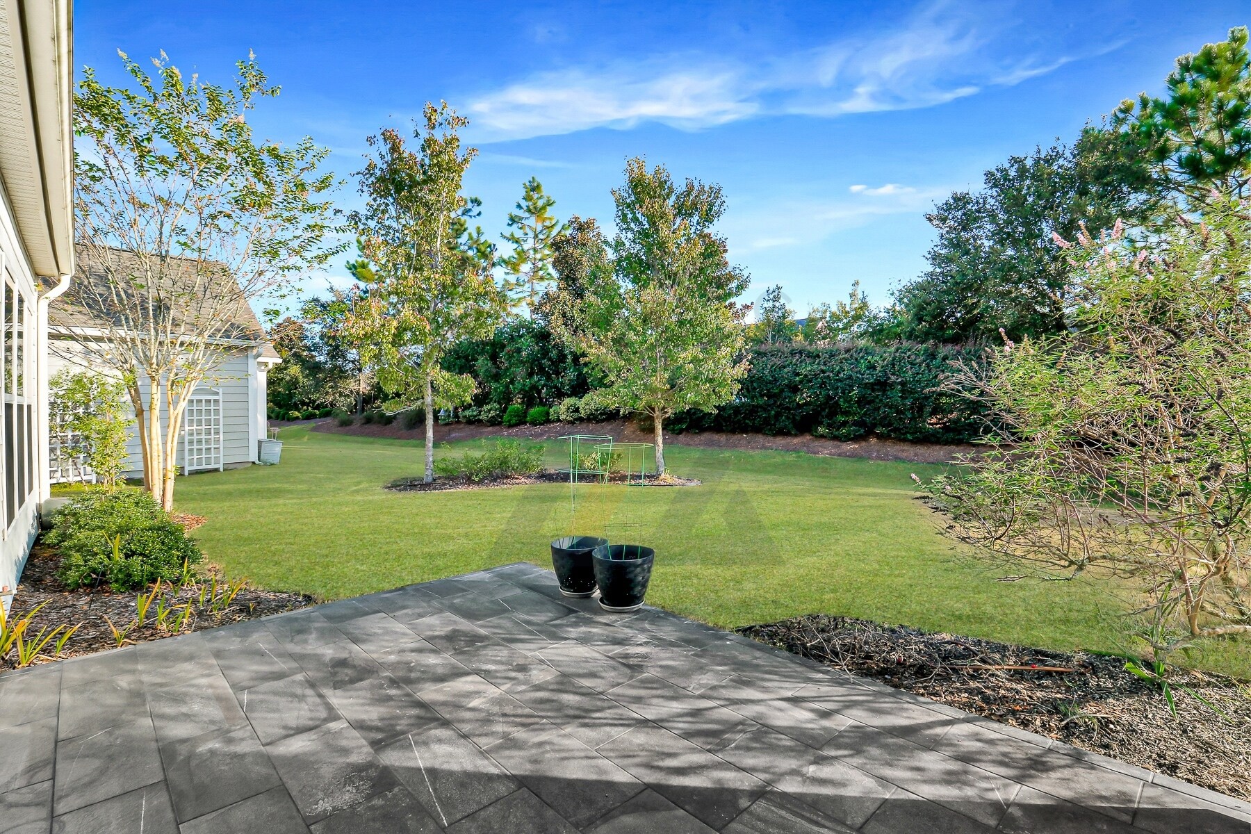Building Photo - 361 Fern Leaf Ln