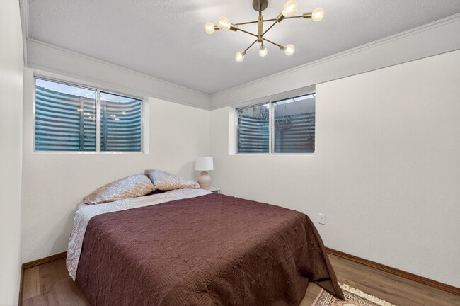 Building Photo - Available Immediately! Beautiful home in the Fairfax and Briargate neighborhood!