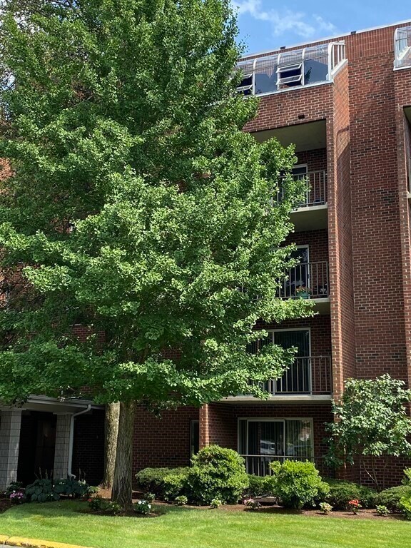 Building Photo - 50-56 Broadlawn Park