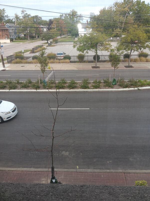 Building Photo - 21930 Lakeshore Boulevard