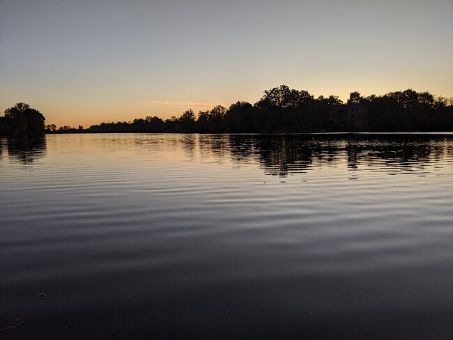 Sometimes the view is just perfect. - 2414 Lake Park Rd