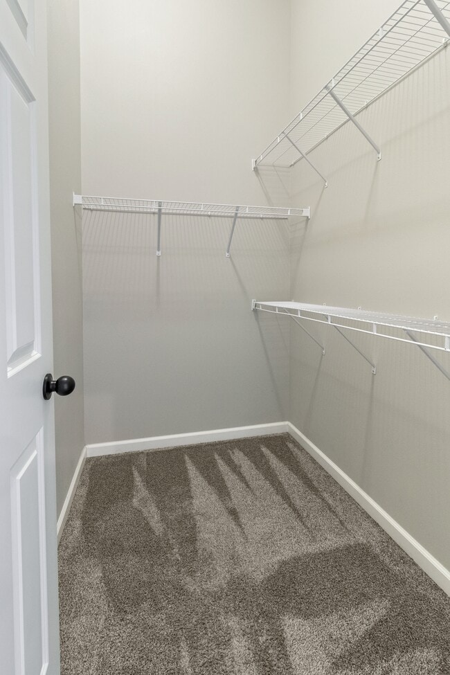 Building Photo - 242 Divide Dr