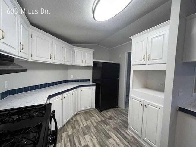 Building Photo - 603 N Mills Dr