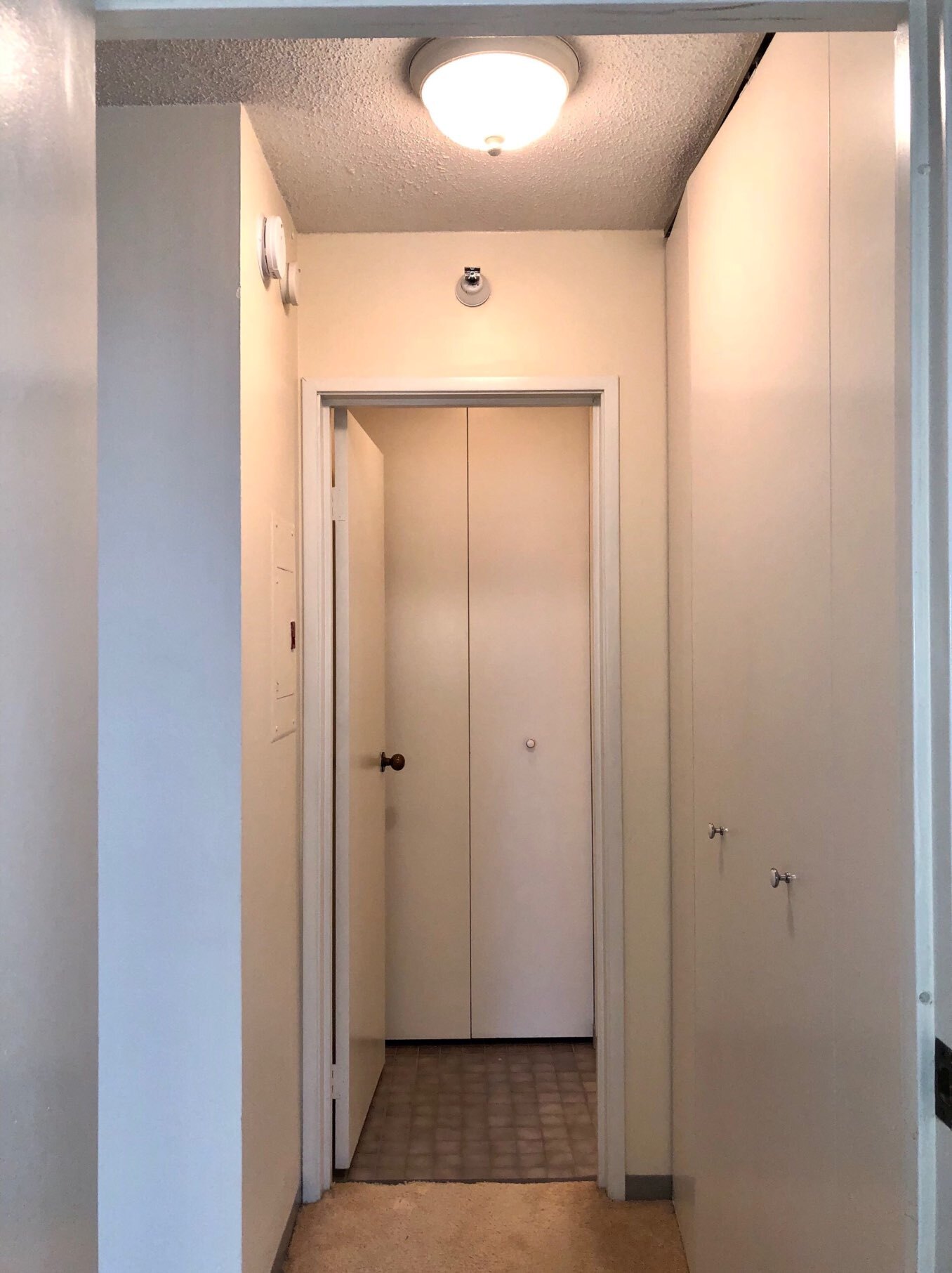 Hallway to Bathroom - 1660 N Prospect Ave