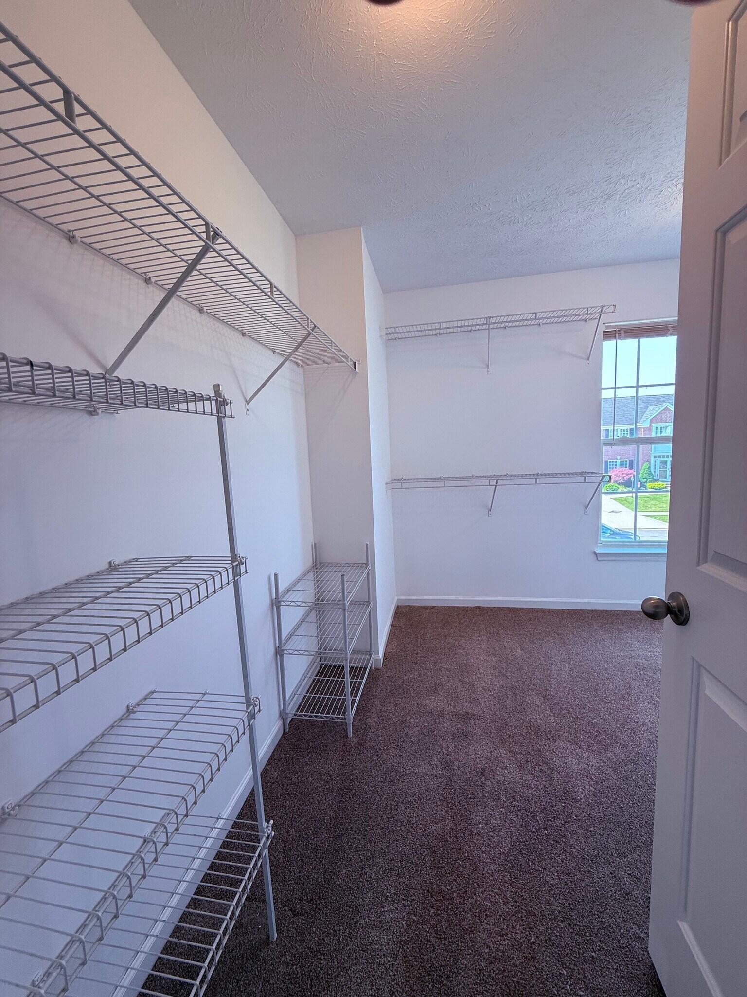 Building Photo - 657 Brookledge Ct