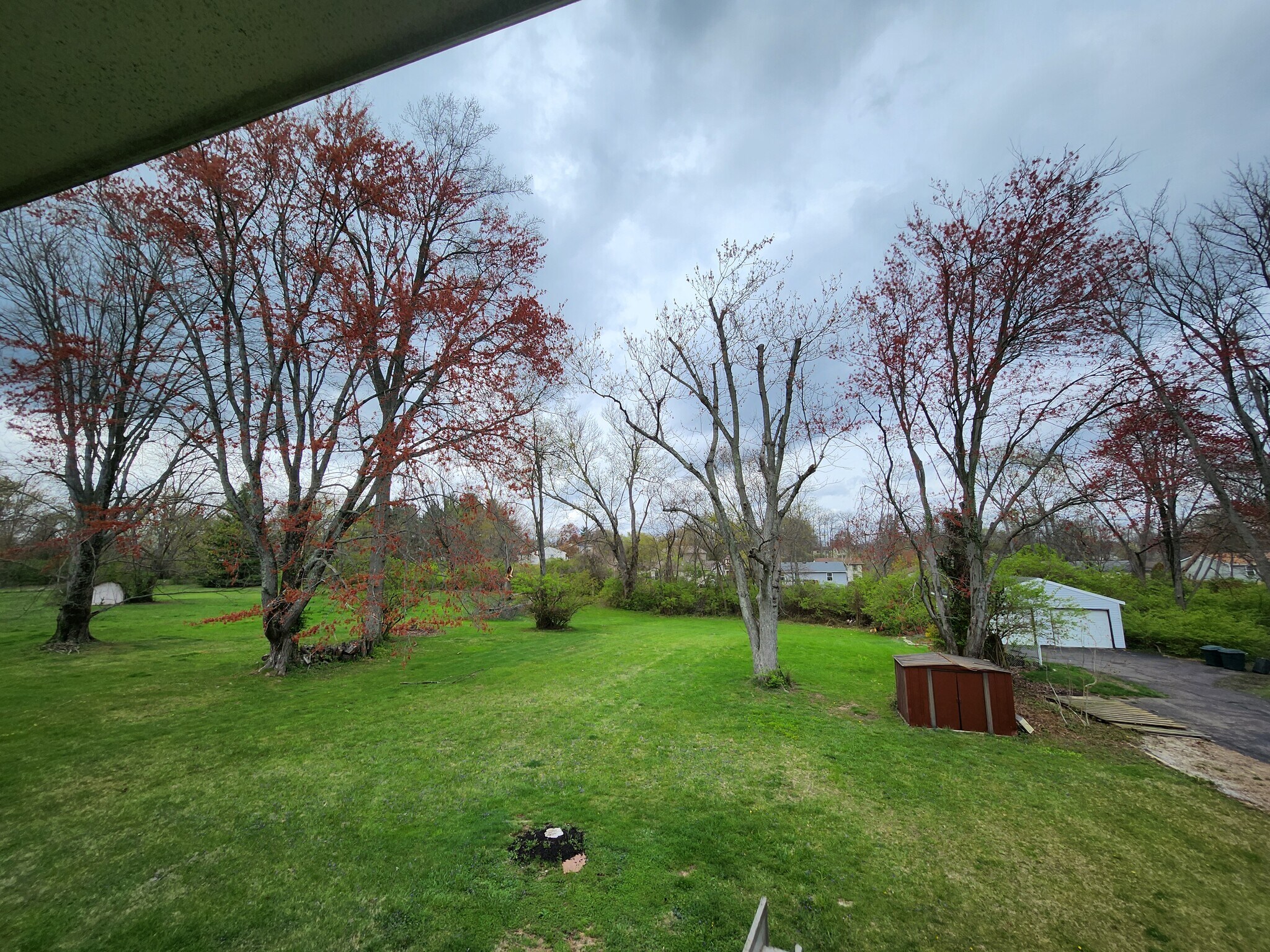 back yard - 8446 Clough Pike