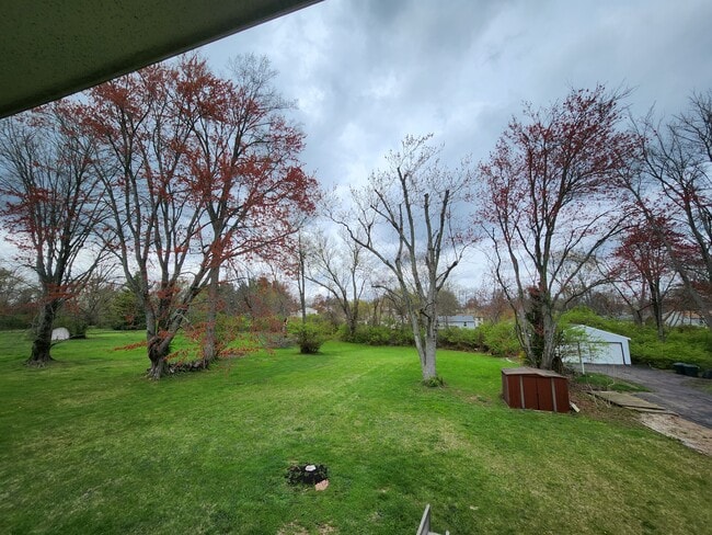 back yard - 8446 Clough Pike