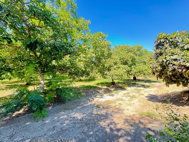 Building Photo - Guest House - Studio Cottage - Meridian