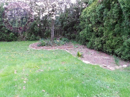 Building Photo - Charming Richmond Craftsman!  Big Backyard!!  Pet Friendly!