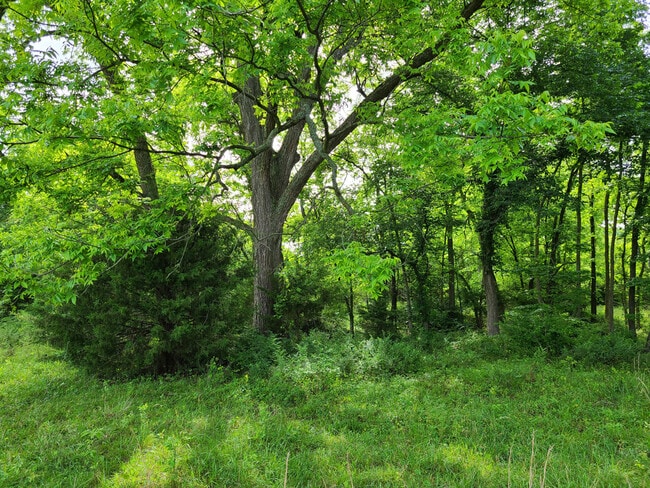 30 Acres Wood for Hunting - 465875 E 790 Rd