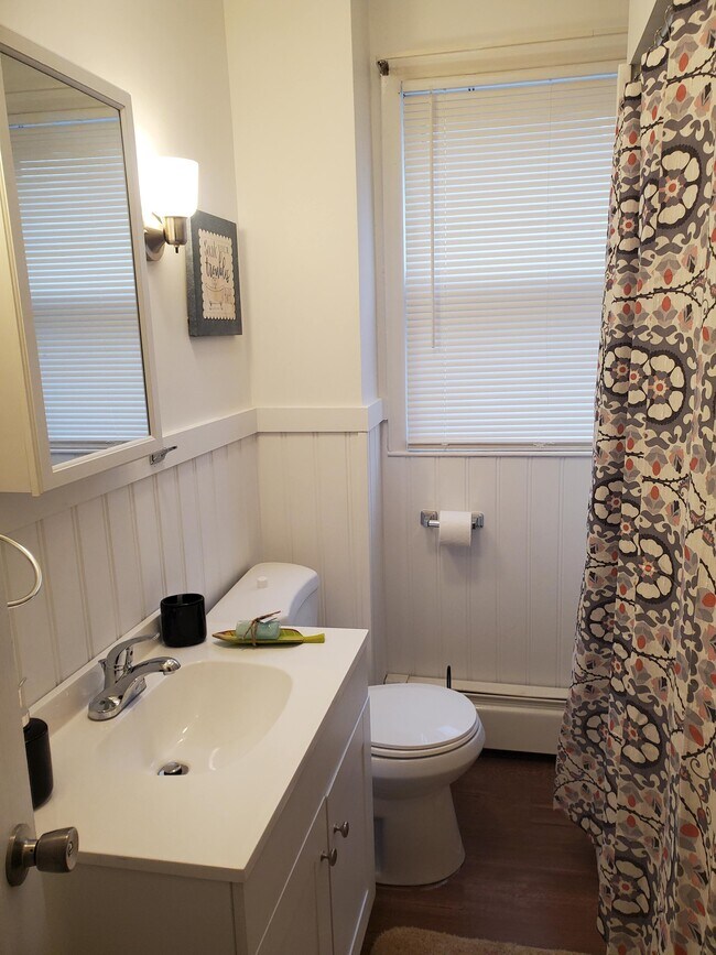 New Bathroom overview - 87 Vinton St