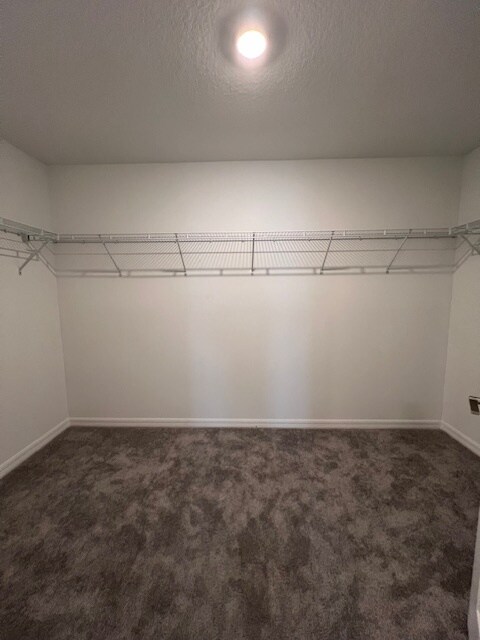 Building Photo - 11312 Linden Depot Rd