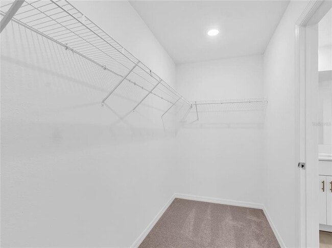 Building Photo - 6115 Blue Paloma Ct