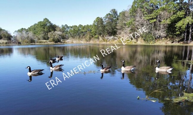 Building Photo - Home overlooking a pond