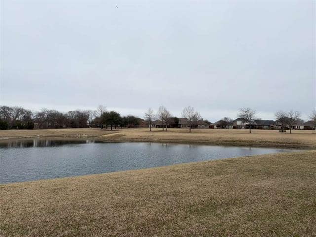 Building Photo - 1001 Golden Bear Ln