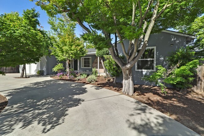 Building Photo - Los Altos 4-Bedroom with Fireplace, EV Hoo...
