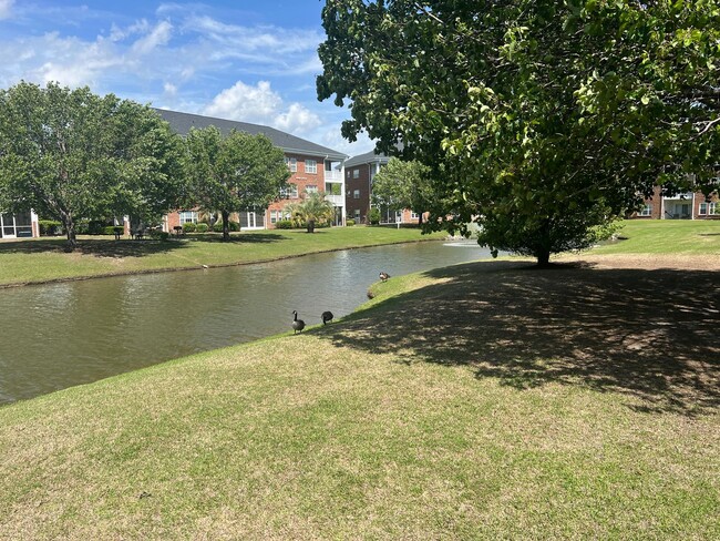 Building Photo - First Floor, End Unit, Two bedroom, Two ba...
