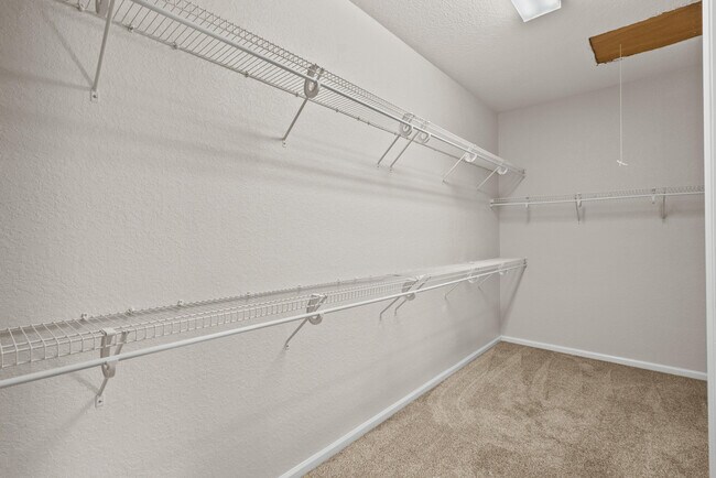 Building Photo - 206 Magnolia Lakes Blvd