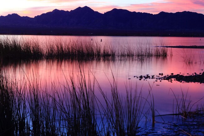 Building Photo - 820 Avalon Ave