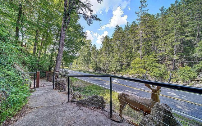 Stairs to the river - 7022 Aska Rd