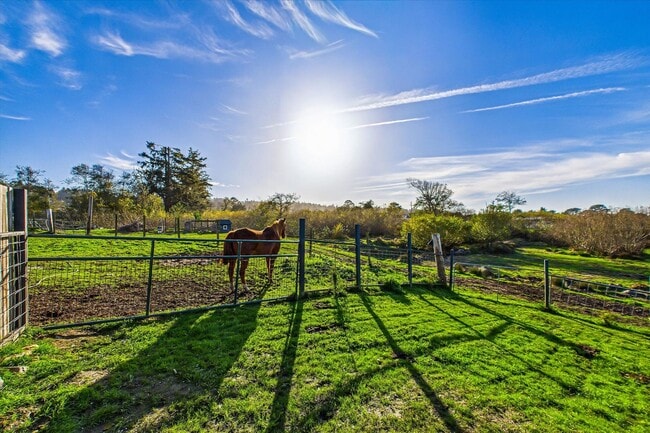 Building Photo - Custom Home on Property just outside of Eureka!