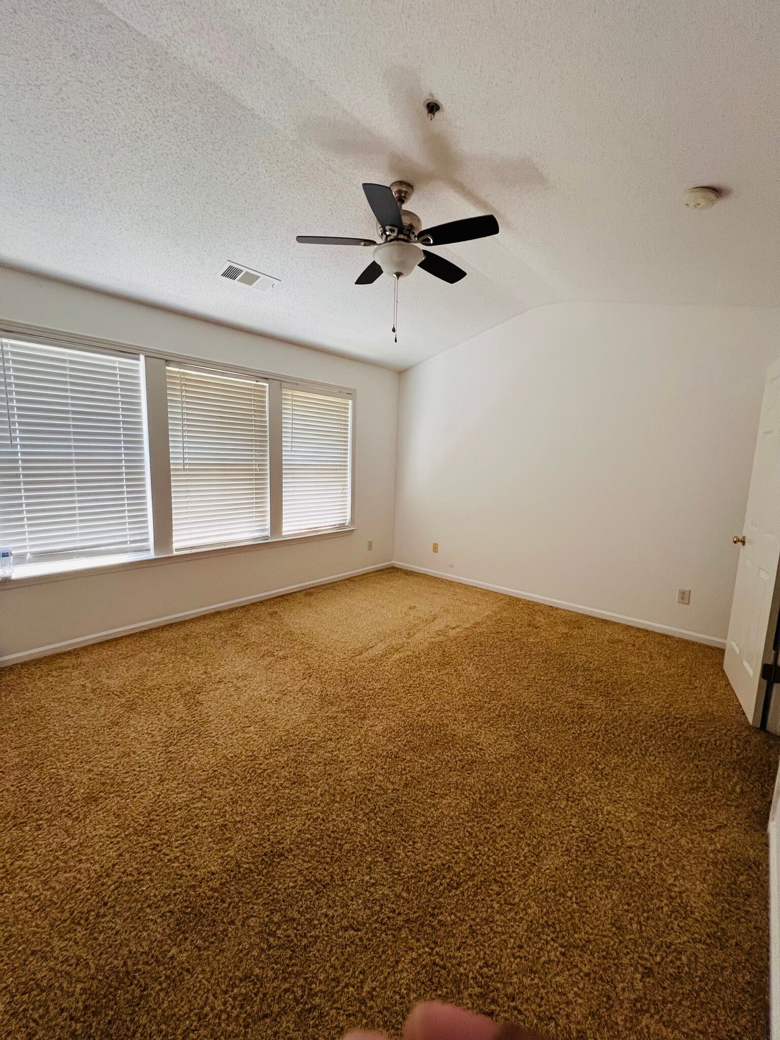 Master bedroom - 2623 Ashleigh Ln