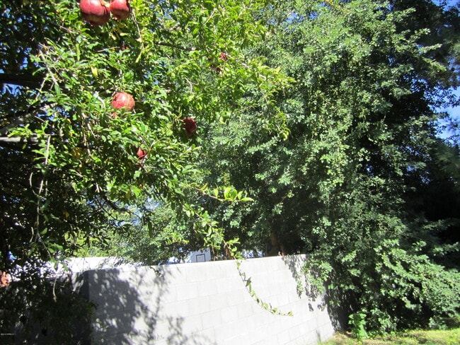 Building Photo - 1719 S El Camino Dr