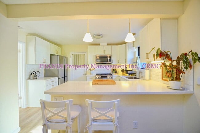 Building Photo - 245 Solano St