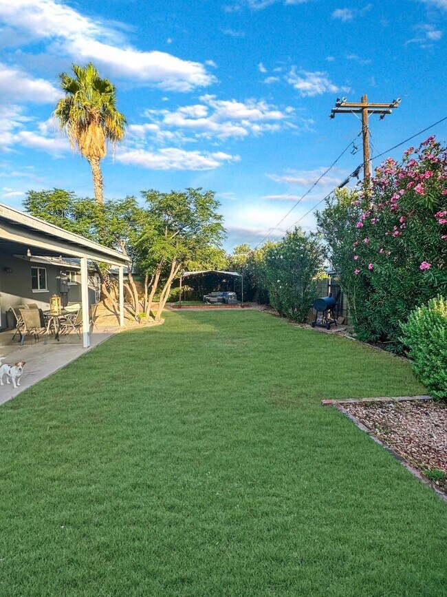 Building Photo - 6558 E 2nd St