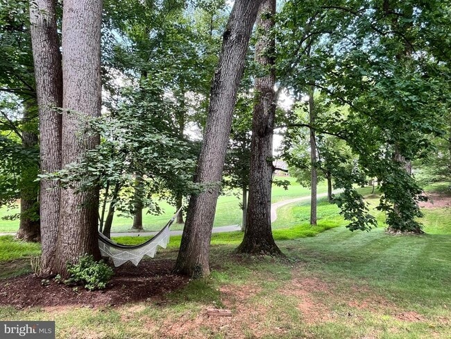 Building Photo - 7809 Fox Gate Ct