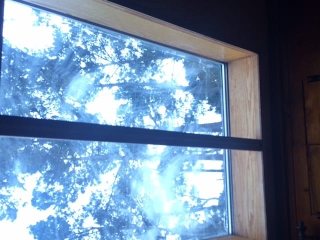 Building Photo - Austin (1029)