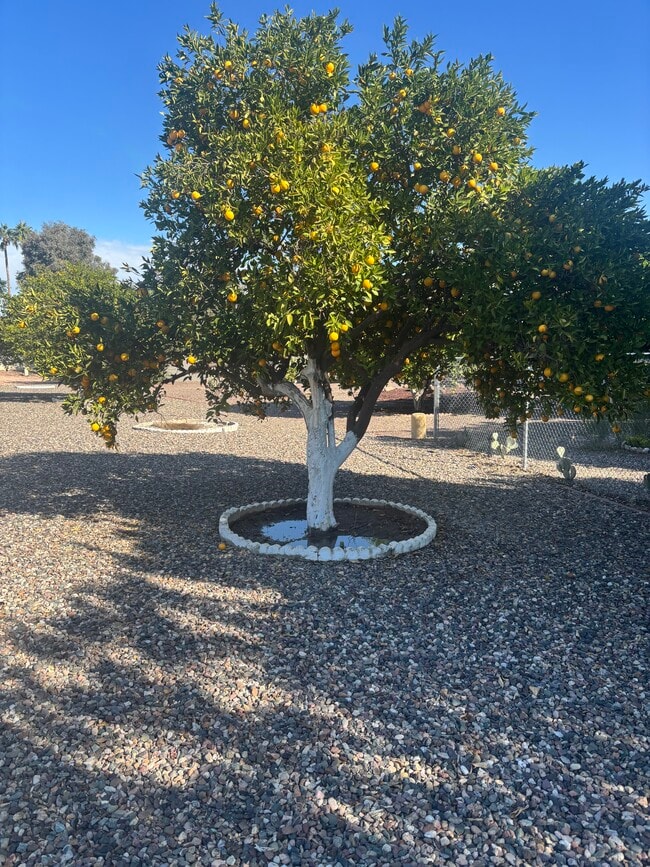 Building Photo - 18419 N 94th Dr