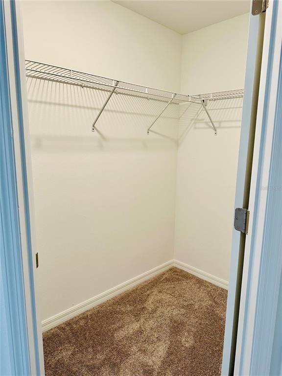 Building Photo - 32111 Powderpuff Mimosa Dr
